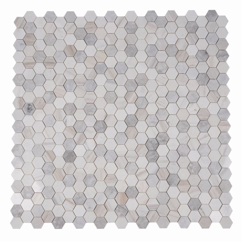 Hexagon Coastal 2 x 2 12 x 12