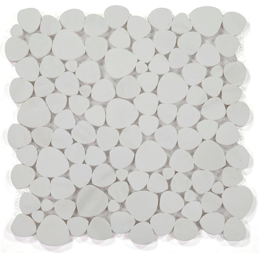 Aphrodite Dolomite Honed 12 x 12