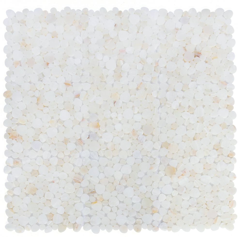 Aphrodite Onyx White Honed 12 x 12