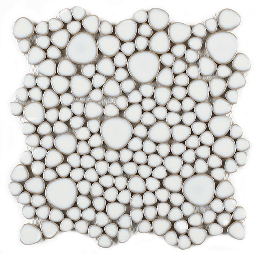 Growing Fancy White 11.5 x 11.5