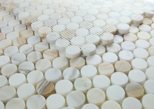 Penny Marble Calacatta Honed 11 x 11.75